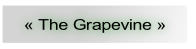 « The Grapevine ».